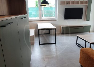 Kuchynská linka a obývačka v jednom štýle